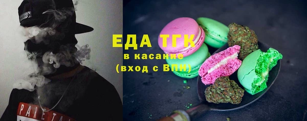 стаф Ельня