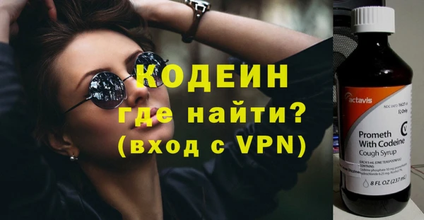 стаф Ельня