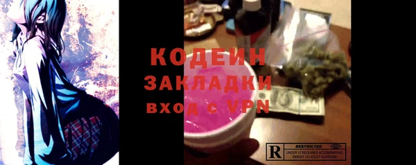 ГАЛЛЮЦИНОГЕННЫЕ ГРИБЫ Елабуга