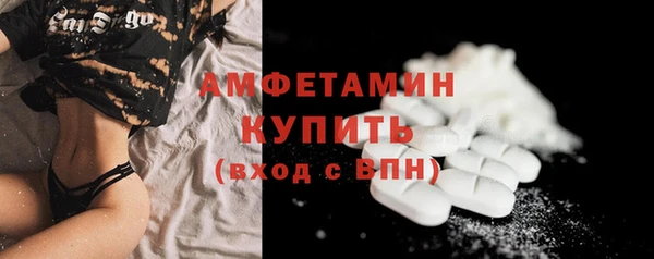 стаф Ельня