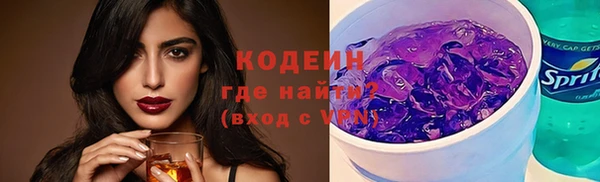 стаф Ельня