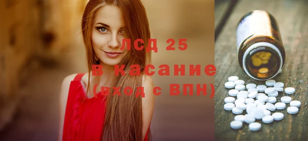 стаф Ельня