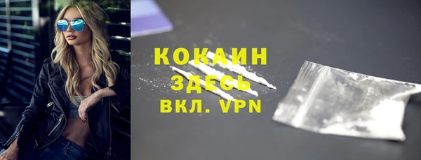 стаф Ельня