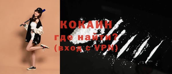 дживик Елизово