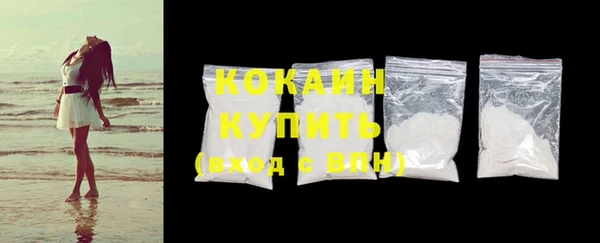 стаф Ельня