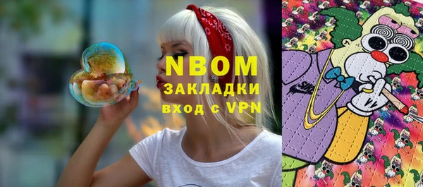 стаф Ельня