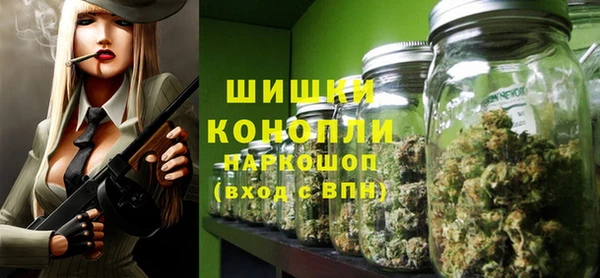 ГАЛЛЮЦИНОГЕННЫЕ ГРИБЫ Елабуга