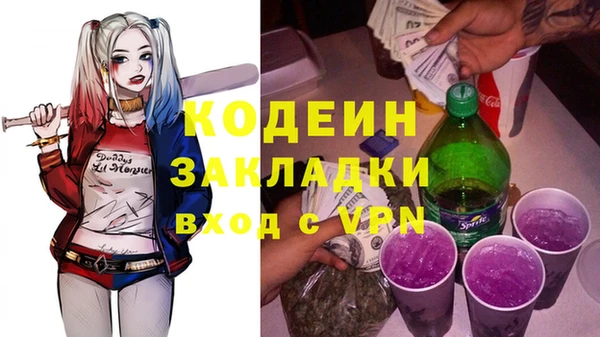 стаф Ельня