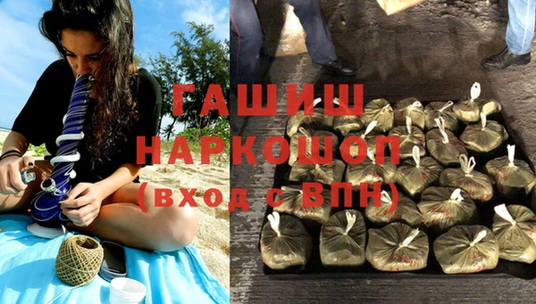 стаф Ельня