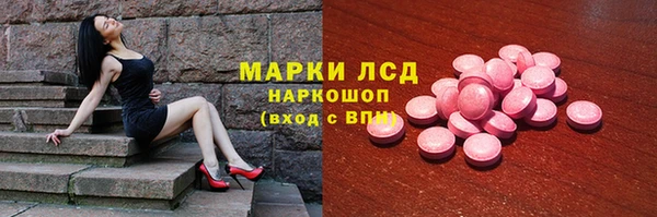 ГАЛЛЮЦИНОГЕННЫЕ ГРИБЫ Елабуга