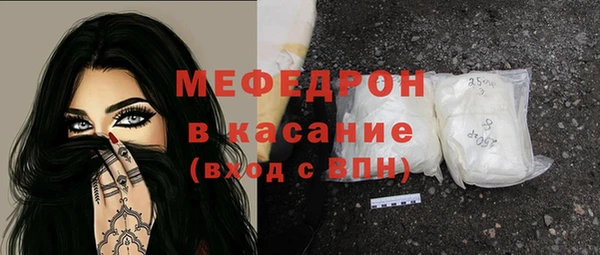 стаф Ельня