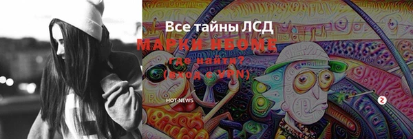 ГАЛЛЮЦИНОГЕННЫЕ ГРИБЫ Елабуга