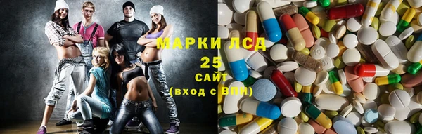 стаф Ельня