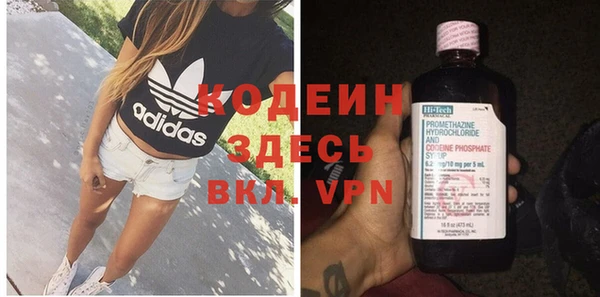 ГАЛЛЮЦИНОГЕННЫЕ ГРИБЫ Елабуга