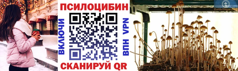 Галлюциногенные грибы ЛСД  Купить где  Луга 