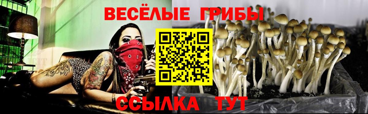 Галлюциногенные грибы Magic Shrooms  Галлюциногенные грибы ЛСД  Луга 