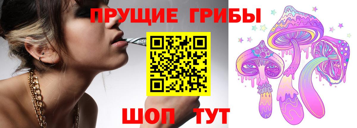 Галлюциногенные грибы GOLDEN TEACHER Луга