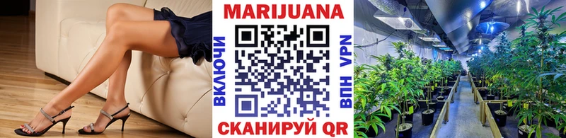 Купить Луга Шишки марихуана индика