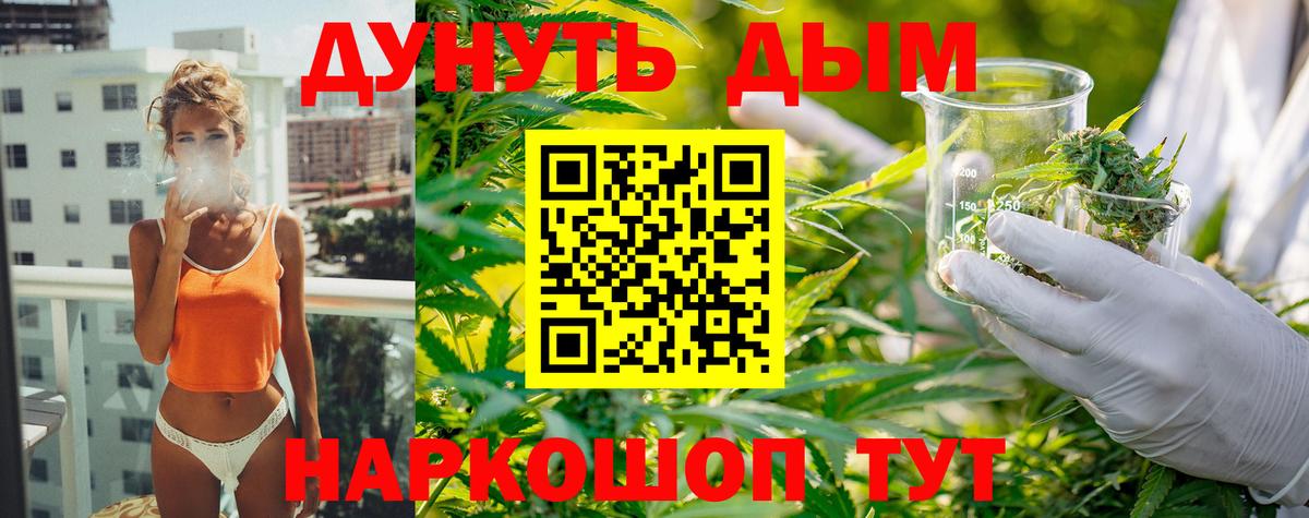 Бошки Шишки планчик Луга